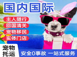 义勒力特机场托运国际宠物托运 【国